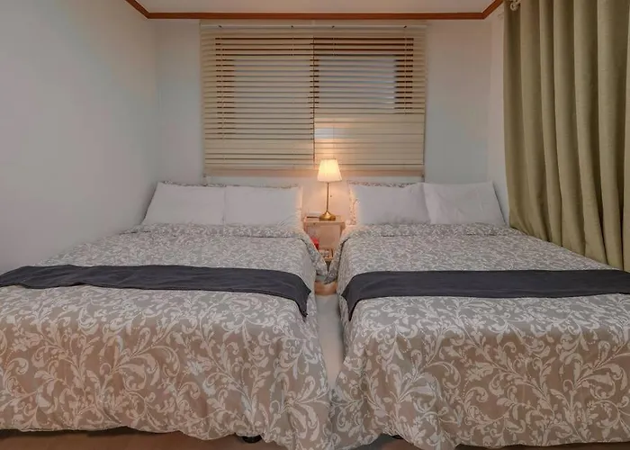 Hongdae Cozy